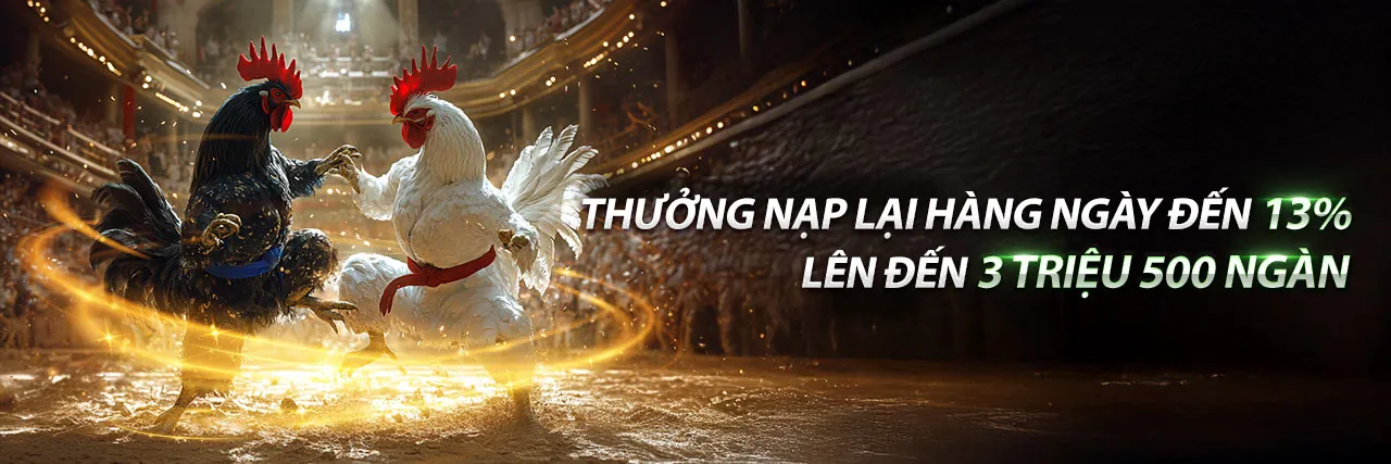 Tin tức và cập nhật mới nhất từ QQ8